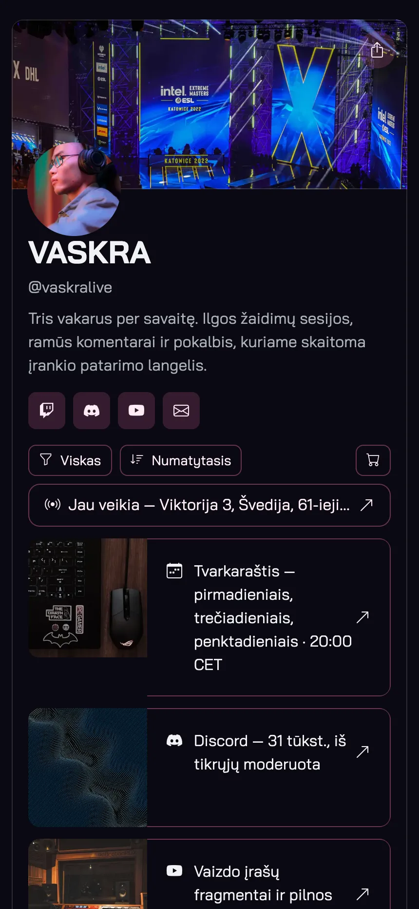Vienas puslapis, tik nuorodos — kanalo apipavidalinimas ir jokios navigacijos
