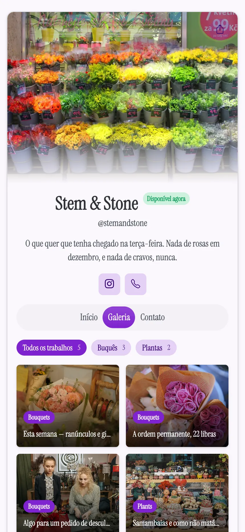 Duas abas — floricultura mostrando as novidades da semana