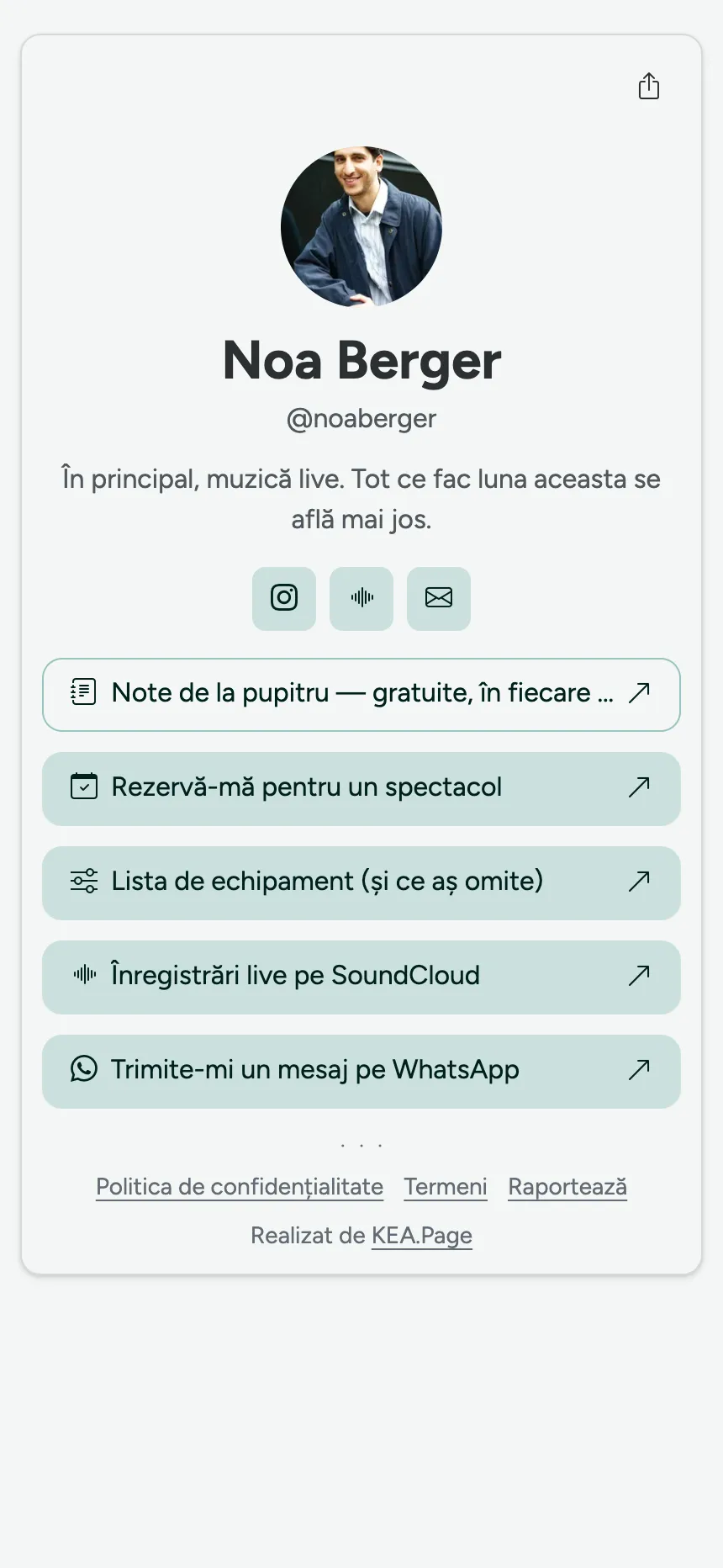 O singură pagină, o singură filă — cineva care a dorit doar linkuri